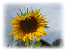 DSCN6006.JPG