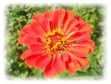 DSCN6044.JPG