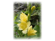 DSCN6047.JPG