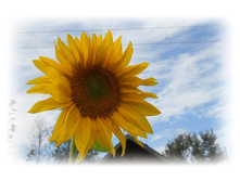 DSCN6051.JPG