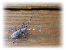 DSCN6056.JPG