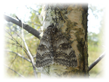 DSCN6128.JPG