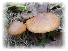 DSCN6146.JPG