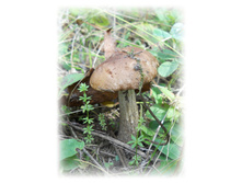 DSCN6158.JPG