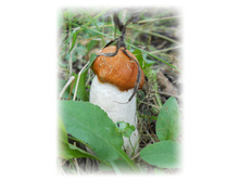 DSCN6161.JPG