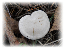 DSCN6175.JPG