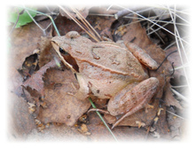 DSCN6184.JPG