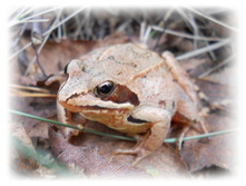 DSCN6186.JPG