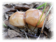 DSCN6189.JPG