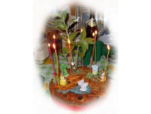 DSCN4107.JPG