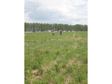 30.05.2010 23:45:53