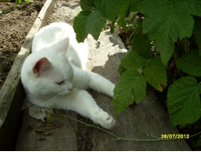 SDC17989.JPG