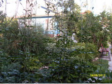 SDC18130.JPG