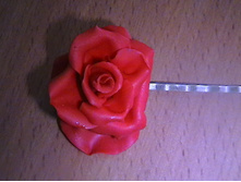 IMGA0767.JPG