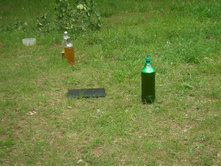 31.05.2010 16:43:47