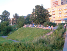 DSCF0010
