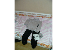 2013-01-11-082646.JPG