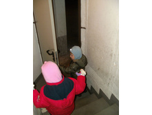 2013-01-11-083956.JPG