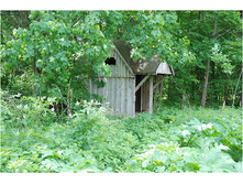 01.06.2010 7:55:41