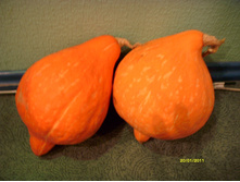 S73R6159.JPG