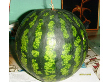 S73R9923.JPG