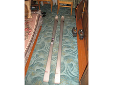 Nordica W71