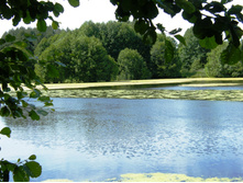 01.06.2010 14:08:59