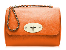 DELICE  ( ���. B00232 (orange)  )