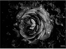 02.06.2010 8:28:57