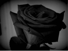 02.06.2010 8:29:07