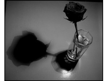 02.06.2010 8:29:35