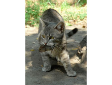 22.01.2008 8:55:07