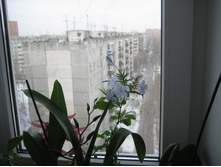 IMG_5156.JPG