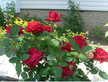 S73R8461.JPG