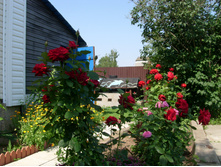S73R8464.JPG