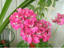 S73R7340.JPG