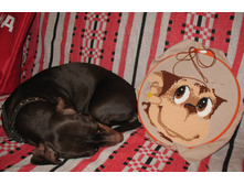 ��������� 23.01.2008