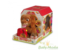 2417+���