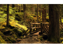 00385_mysterybridge_2560x1600.jpg