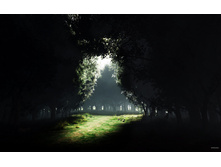 01156_darknesstolight_2560x1600.jpg
