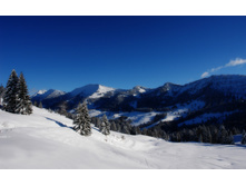01439_alpinesight_2560x1600.jpg