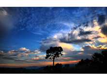 01536_dramaticsky_2560x1600.jpg
