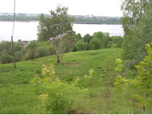 04.06.2010 14:45:28