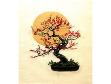 ������.jpg