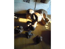 IMG 065.JPG