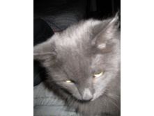 08.02.2008 21:41:20