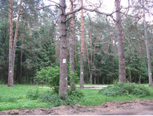 05.06.2010 2:00:08