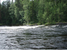 P1010011.JPG