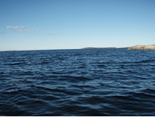 P1010036.JPG