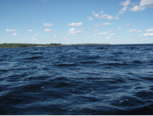 P1010054.JPG